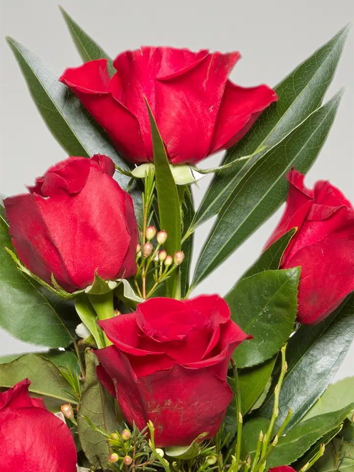 Sette rose rosse dettagli